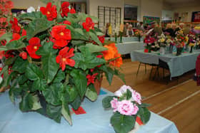Dungannon Floral Arrangement Society.
