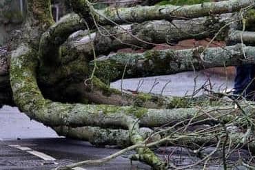 In total 285,000 households and businesses were impacted by power cuts following Storm Éowyn. Picture: Jonathan Porter / PressEye