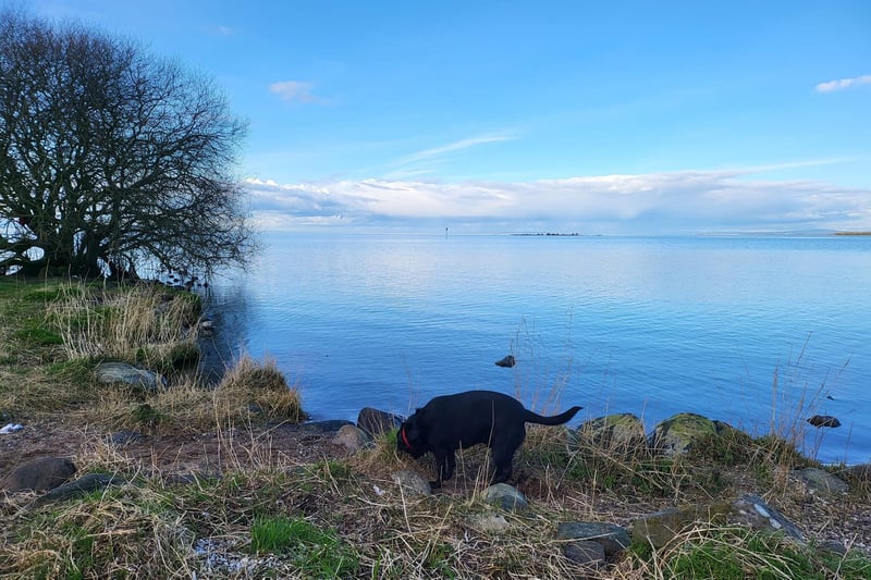 Beautiful Lough Neagh on the banks of the south shore at Oxford Island in north Armagh. A freshwater lake, it is the largest lake on the island of Ireland and in the British Isles. It also supplies 40% of our drinking water.