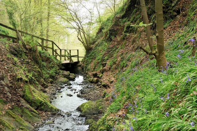 While everyone heads to the summit of Cave Hill to check out the spectacular views of the city, the Castlereagh Hills provide a similarly stunning panorama. This three-mile walk follows an enchanting glen featuring some lovely waterfalls and leads to the summit of the hills on the edge of East Belfast. The path hugs Cregagh Glen, where you’ll pass pools of sunlight and springtime bluebells. Near the top, visit a memorial marking a WWII graveyard for American servicemen, then continue past Lisnabreeny House, once home to poet Nesca Robb. At the summit, enjoy views stretching from the Mournes to Scrabo, and explore the ancient rath at the top of the hill.