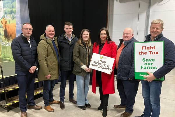 Pictured from left are Keith Buchanan MLA, Councillor Paul McLean, Councillor James Burton, Councillor Eva Cahoon, Deputy First Minister Emma Little-Pengelly MLA, Councillor Wesley Brown, Councillor Mark Robinson at UFU Rally.
