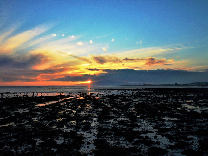 This beach along the road to Annan in Dumfries and Galloway has scenic views to the south across the salt marshes of the Solway. It is small but beautiful, and there is a lot of birdlife to watch if that's your cup of tea.
