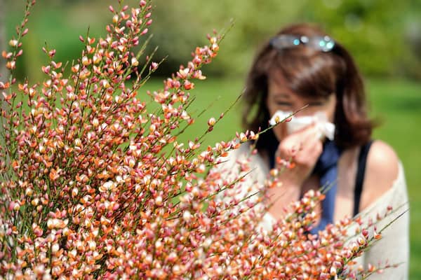 Hay-fever or COVID-19: Key differences you need to know as pollen season begins