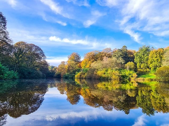 "Drum Manor in Cookstown is one of my fav walks" said Juliette Hagan, who shared this lovely photo showing nature in its magnificence. Drum Manor Forest Park is an attractive 18th Century demesne with gardens, arboretum, ponds and mixed woodlands and offers visitors a variety of scenic walks around the forest and wildfowl lake.