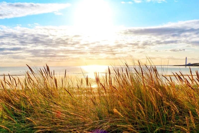 This beautiful beach can be found on the East coast of Scotland in the Angus council area. Its golden sands stretch for three miles and it has views of Scurdieness Lighthouse.