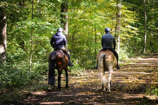 From horse riding to bungee jumping, Northern Ireland has a host of activities that you can enjoy with your partner.