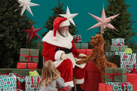 Dobbies at The Junction recruiting for an official dog toy tester this Christmas. Picture: Released by The Junction