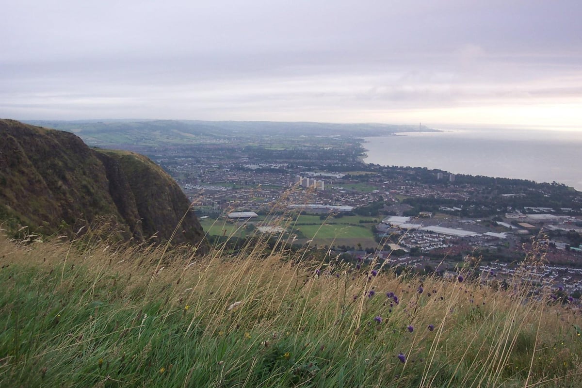 Nature Recovery Challenge Fund Gives Belfast Hills Project a £1.1 M...
