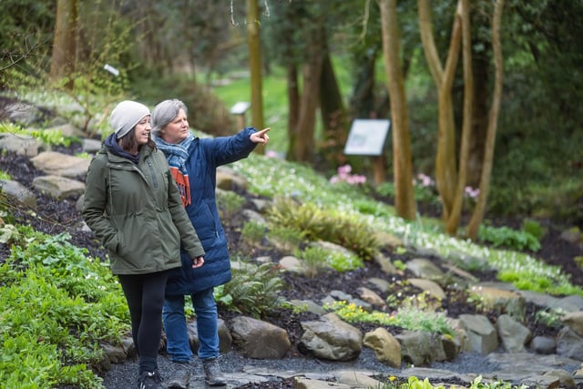 Cheryl Davidson and Ruth Conacher enjoying The Lost Garden Trail at Montalto Estate.