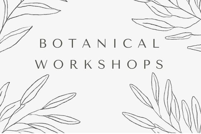 Through the Courthouse Bushmills project, there will be a FREE Botanicals themed workshop next week. Credit Bushmills Courthouse