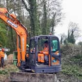 Trees felled between Portadown and Tandragee days after flooding in Co Armagh.