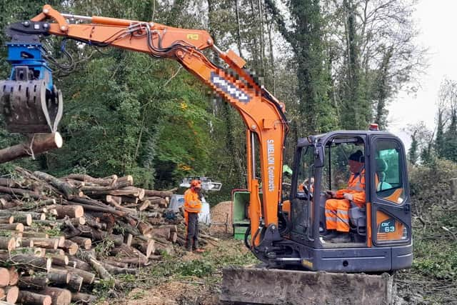 Trees felled between Portadown and Tandragee days after flooding in Co Armagh.