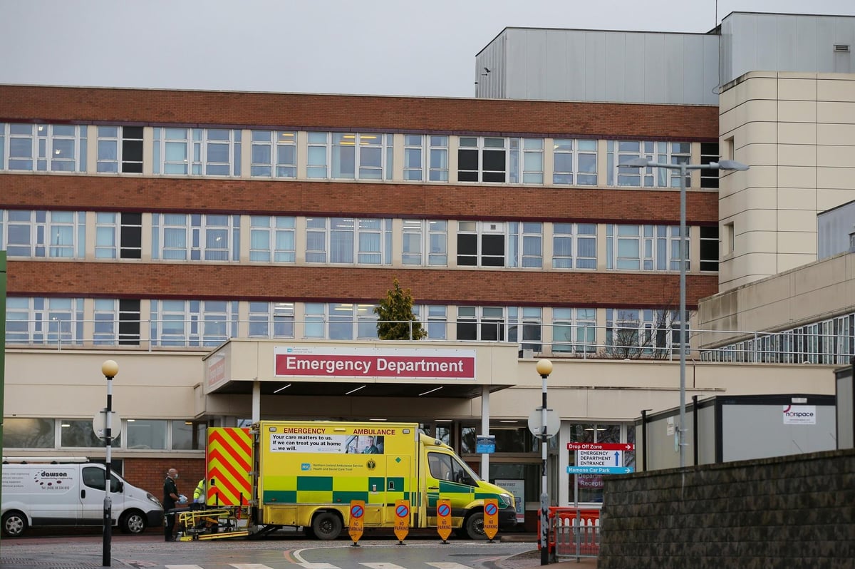 Lurgan man, who pleaded guilty at Craigavon court to disorderly behaviour and assaulting police, may face jail, judge says