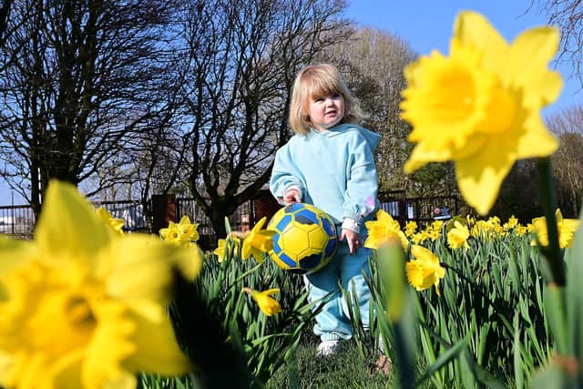 Three-year-old Ruth Savage pictured enjoying the nice Spring weather. Picture: Arthur Allison/Pacemaker Press