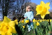 Three-year-old Ruth Savage pictured enjoying the nice Spring weather.  Picture: Arthur Allison/Pacemaker Press