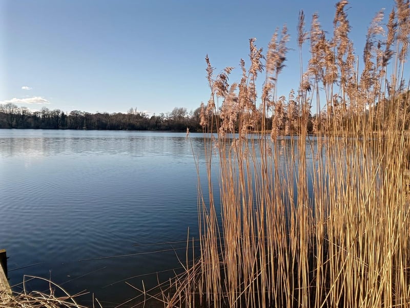 Ewa Szewczak's favourite view is of lovely Loughgall Country Park. This rural haven of relaxation and recreation is popular with many people who want to escape from the hustle and bustle of life and offers a variety of outdoor sports and leisure activities.