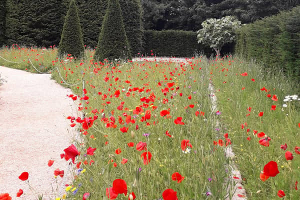 Planting at the Coronation Garden in Hazelbank Park. Pic: Local Democracy Reporting Service