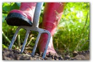 Cookstown Gardening Club meeting on February 28.
