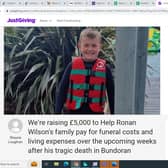 The fundraising page set up to help the Wilson family. Credit: Contributed