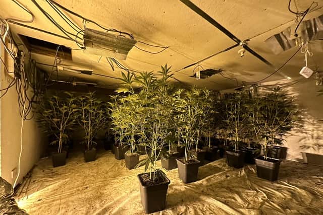 The suspected cannabis factory in Markethill. Picture: PSNI