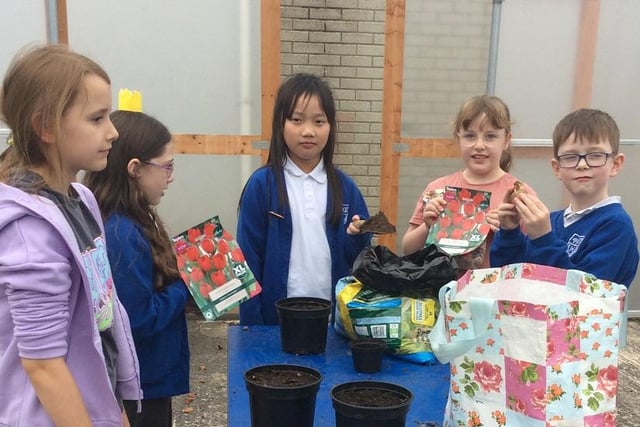 Children from Harpur's Hill Primary School getting ready to plant up their hanging baskets. Credit CCCB Council