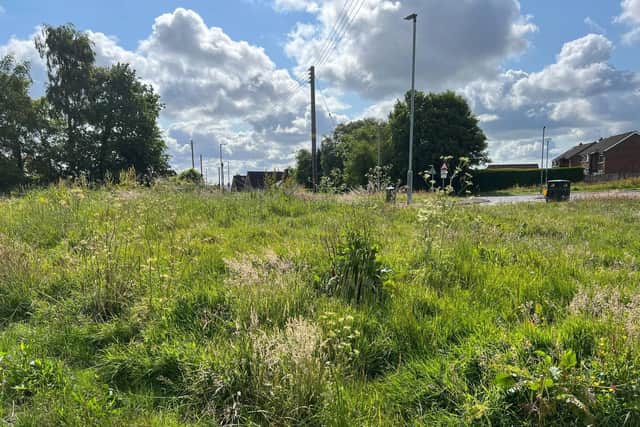 The overgrown grass and weeds between Church Road and Glebe Road West. Photo: Paulette Ferguson