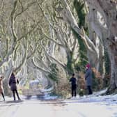 Frosty conditions at the Dark Hedges in Ballymoney.  Picture: Stephen Davison / Pacemaker Press.