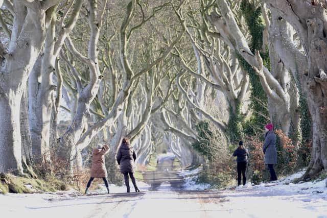 Frosty conditions at the Dark Hedges in Ballymoney.  Picture: Stephen Davison / Pacemaker Press.