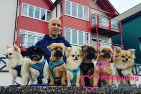 Robert Donkers and his dogs who spent this week 'Walking to Save Dogs'. Credit Robert Donkers