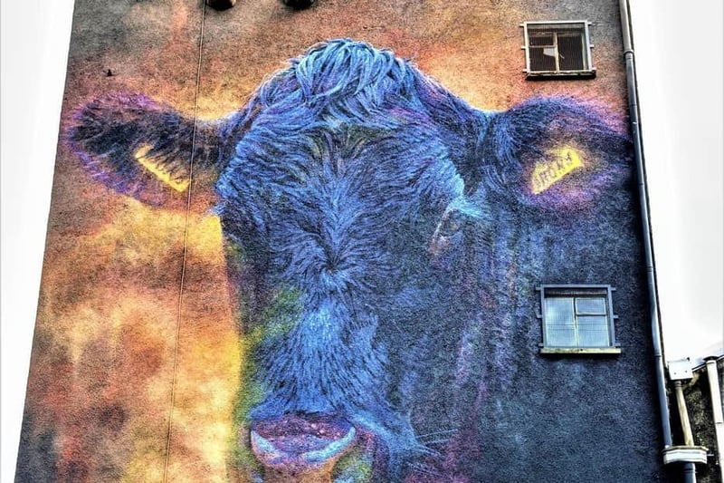 THE TOON/COW TOWN: two phrases which both mean the same and are local, affectionate names for the town of Ballymoney. Ballymoney was once a busy rural market town where buying and selling of farm animals was a regular sight. The art installation pictured pays tribute to its strong farming heritage.