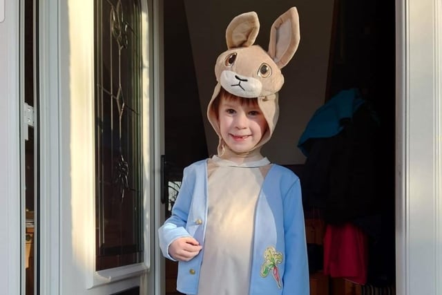 Six year old Sam Bradley from Bridge Integrated Primary School as Peter Rabbit.