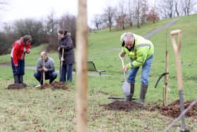 Tree planting. Pic: Mid and East Antrim Borough Council