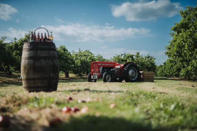 The Food and Cider Festival is returning to Co Armagh from September 3–6, celebrating the county’s food and cider heritage with orchard tours, immersive dining experiences, cider tastings, artisan markets and cocktail masterclasses.