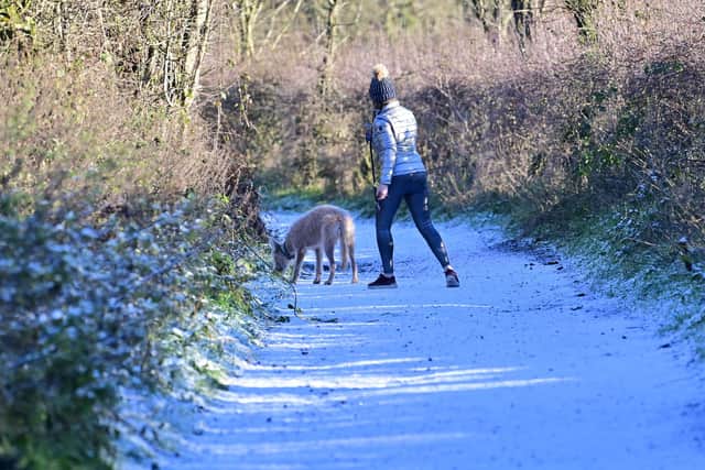 The frosty nights with sub-zero temperatures are forecast to last until at least the middle of next week as the cold snap grips Northern Ireland. Picture: Colm Lenaghan/ Pacemaker