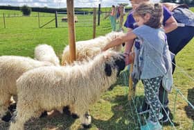 Streamvale  Farm is a family farm that has been open to the public for 35 years. It not only offers a hands-on experience with the animals, but also generates live shows, specific cuddle and feeding times, free tractor and barrel rides, play areas and more.  For more information, go to streamvale.com