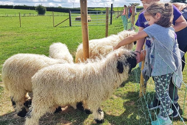 Streamvale Farm is a family farm that has been open to the public for 35 years. It not only offers a hands-on experience with the animals, but also generates live shows, specific cuddle and feeding times, free tractor and barrel rides, play areas and more. For more information, go to streamvale.com