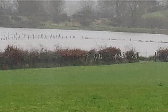 The site which Mid Ulster Council propose turning into a Wetlands Park. Credit: Submitted