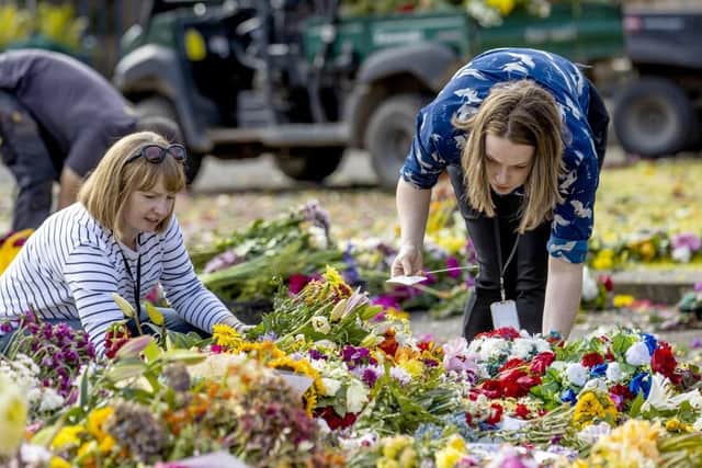 Flowers which were laid by members of the public in tribute to Queen Elizabeth II at Hillsborough Castle in Northern Ireland are collected by the Hillsborough Gardening Team and volunteers to be replanted for those that can be saved or composted. Picture date: Tuesday September 20, 2022. (PA, Liam McBurney)