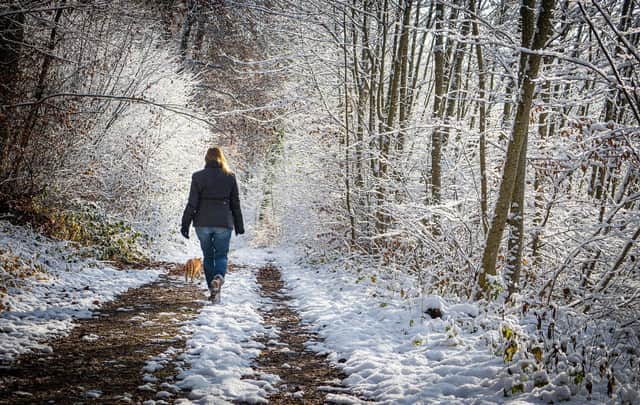 There are plenty of great spots to explore on foot in Northern Ireland this winter.