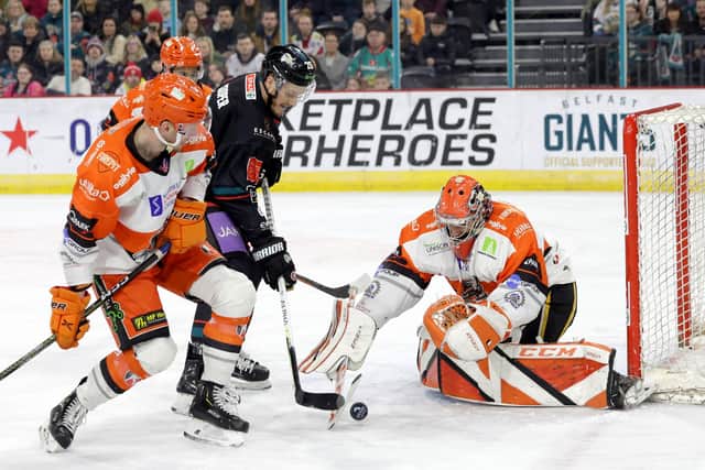 Belfast Giants’ Mark Cooper with Sheffield Steelers’ Matthew Greenfield during Saturday’s Elite Ice Hockey League game at the SSE Arena, Belfast.   Photo by William Cherry/Presseye