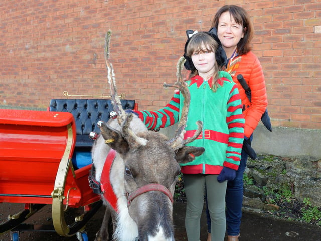 Sharon and Lucy Wheeler met Prancer at the 2017 Victorian Street Fair in Whitehead.