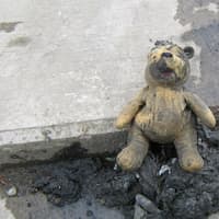 A bear-y unusual blockage in Ballymoney as NI Water remembers Winnie-the-Pooh sewer rescue