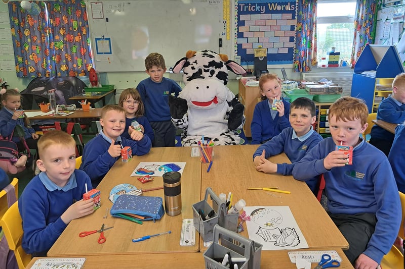 Pupils from Kilmoyle Primary School P3 and P4 classes along with Shane the Cow