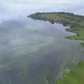 Aerial footage taken last year showed the extend of the spread of blue-green algae on Lough Neagh. Credit: Submitted