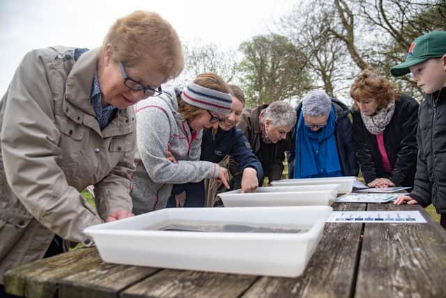 Participants at the Glenelly StreamKeepers event.