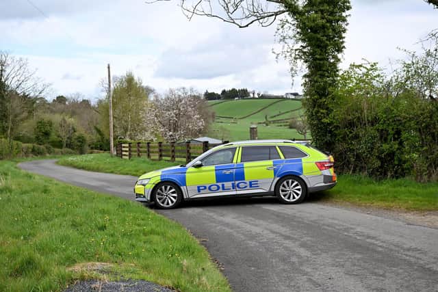 Police at the scene of a security alert at the Lenaderg Road area of Banbridge. Picture: Press Eye