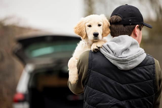 More than 100 dogs were stolen in Northern Ireland in 2021 and 2022.