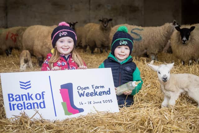 Sadie and Freddie Morton are looking forward to Bank of Ireland Open Farm Weekend. The event is run by the Ulster Farmers’ Union and will see 21 farms open their gates for free over 16-18 June. Check the openfarmweekend.com website for accurate farm opening times.