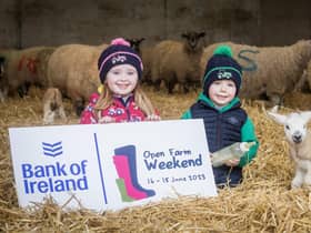 Sadie and Freddie Morton are looking forward to Bank of Ireland Open Farm Weekend. The event is run by the Ulster Farmers’ Union and will see 21 farms open their gates for free over 16-18 June. Check the openfarmweekend.com website for accurate farm opening times.