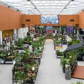 Inside the Dobbies store at The Junction in Antrim. Picture: Chris Humphreys Photography Ltd